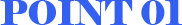 POINT 01